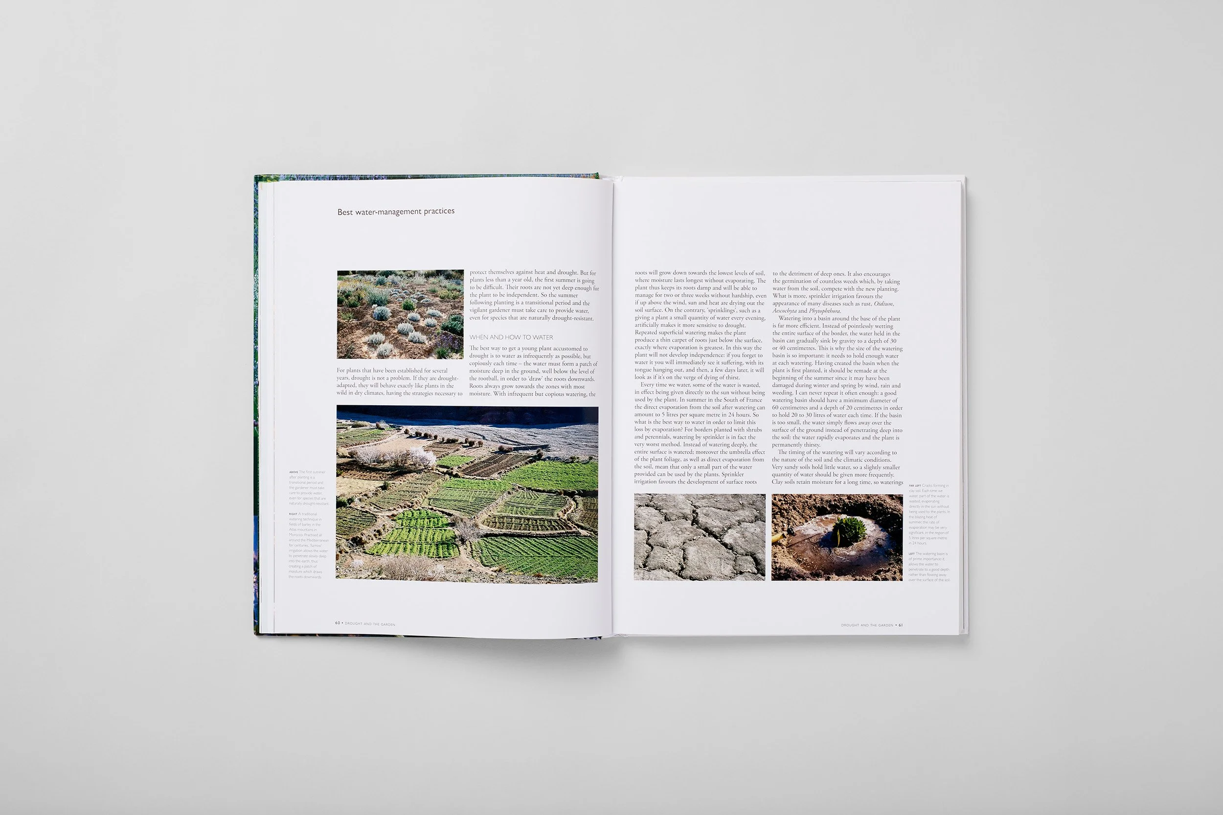 Interior spread from The Dry Gardening Handbook, photograph 3 of 6