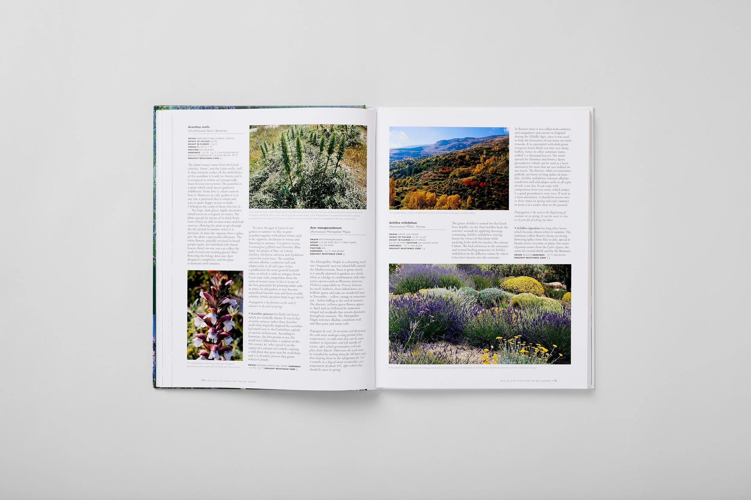 Interior spread from The Dry Gardening Handbook, photograph 4 of 6