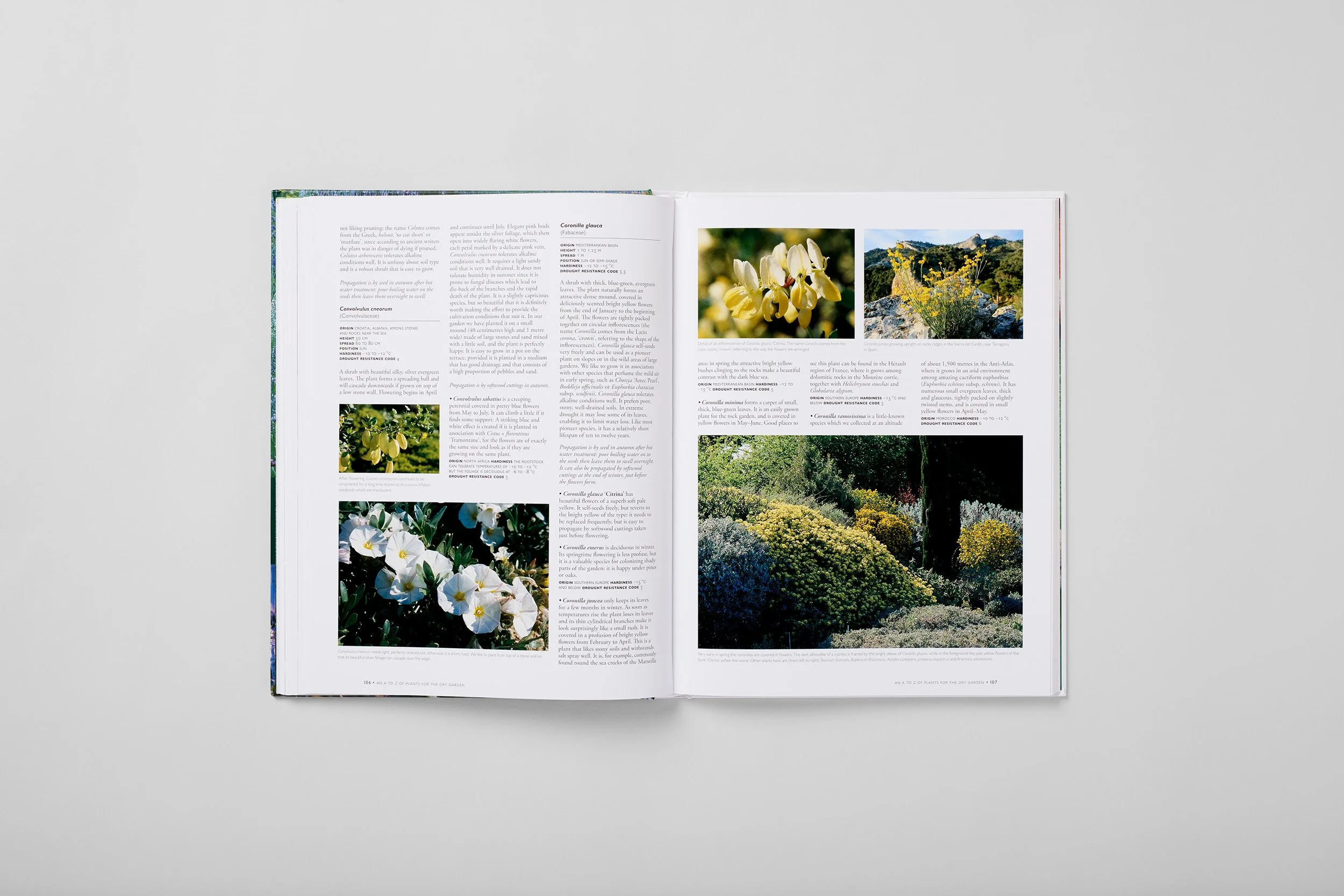Interior spread from The Dry Gardening Handbook, photograph 5 of 6