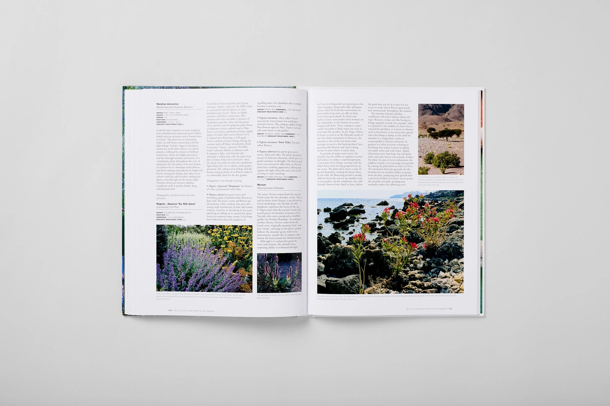Interior spread from The Dry Gardening Handbook, photograph 6 of 6