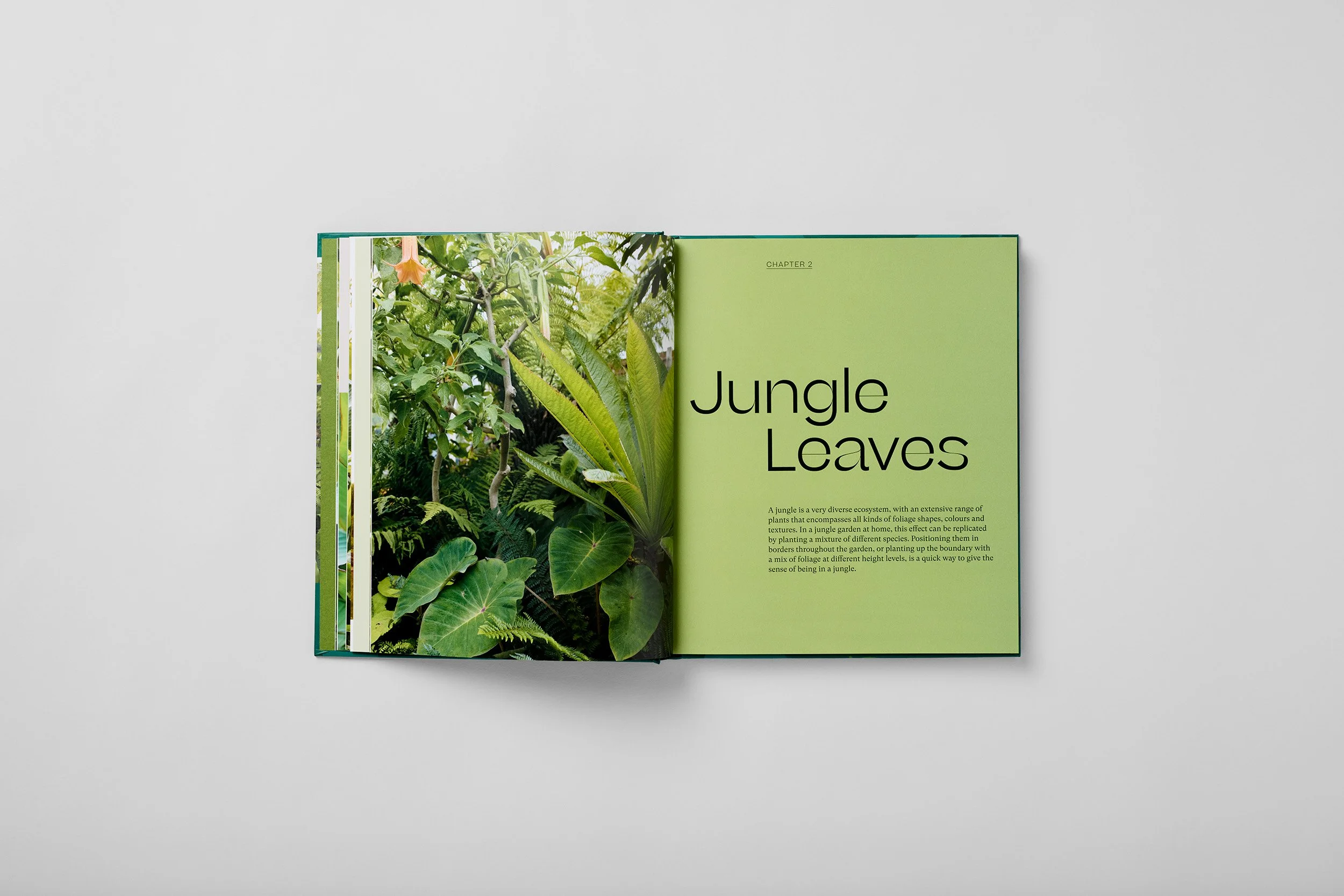 Interior spread from The Jungle Garden, photograph 1 of 6