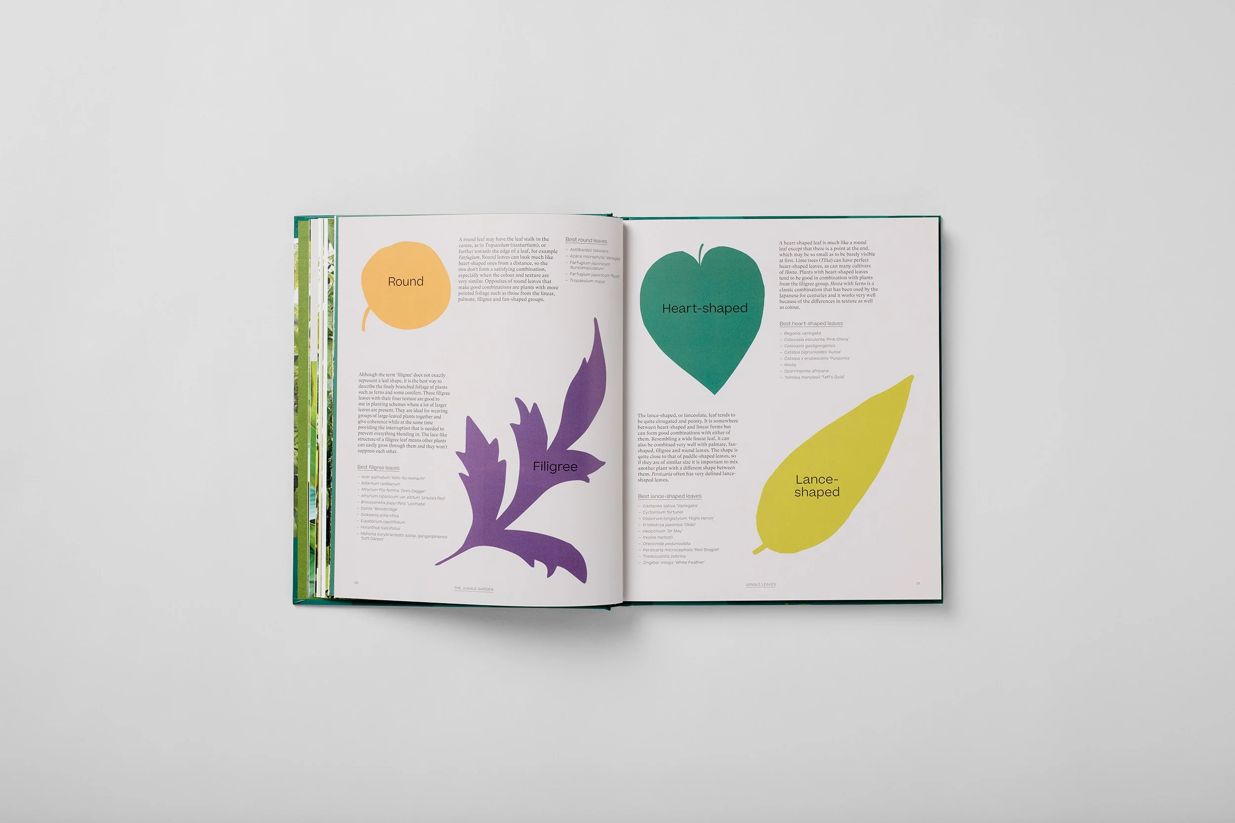Interior spread from The Jungle Garden, photograph 2 of 6