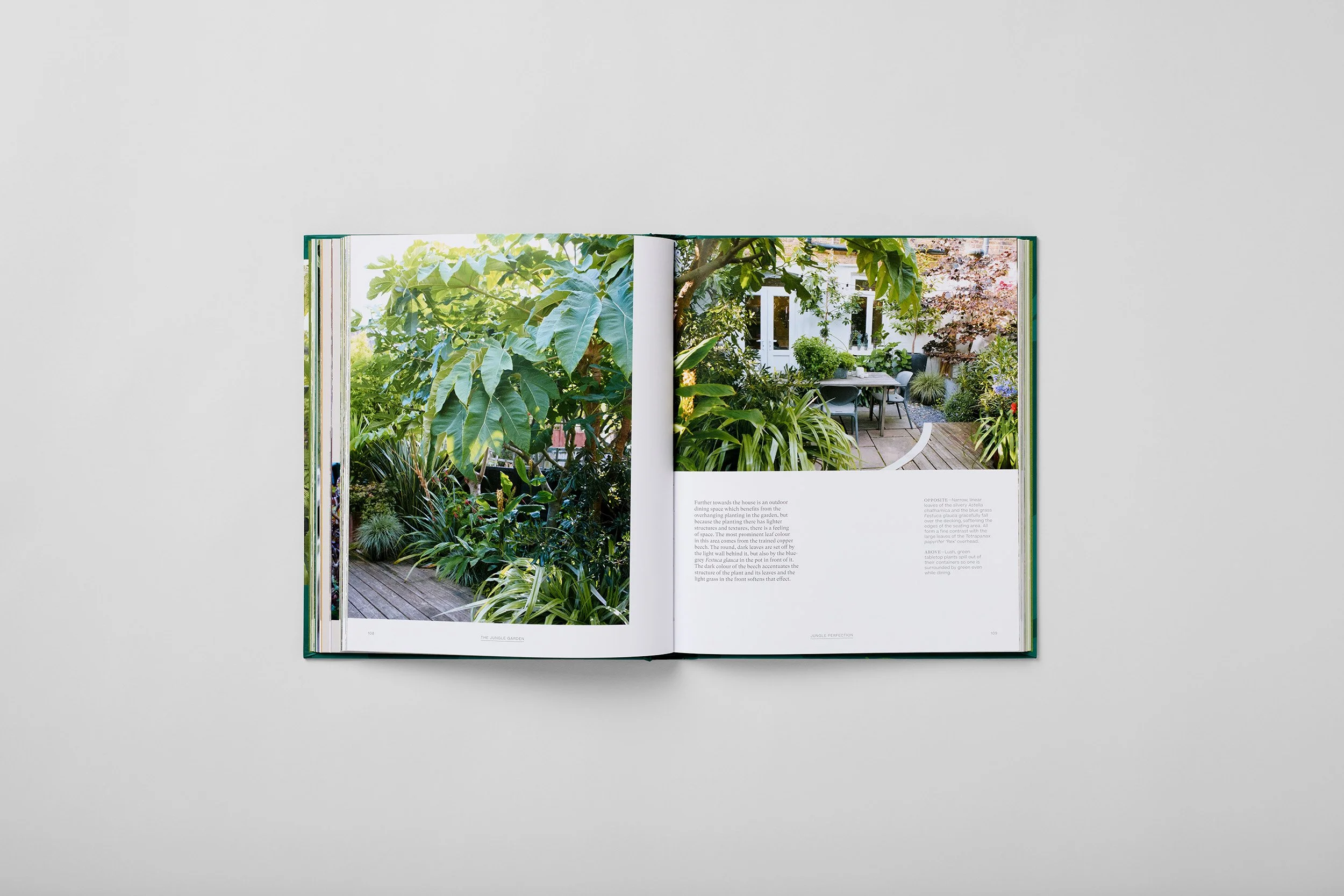 Interior spread from The Jungle Garden, photograph 4 of 6