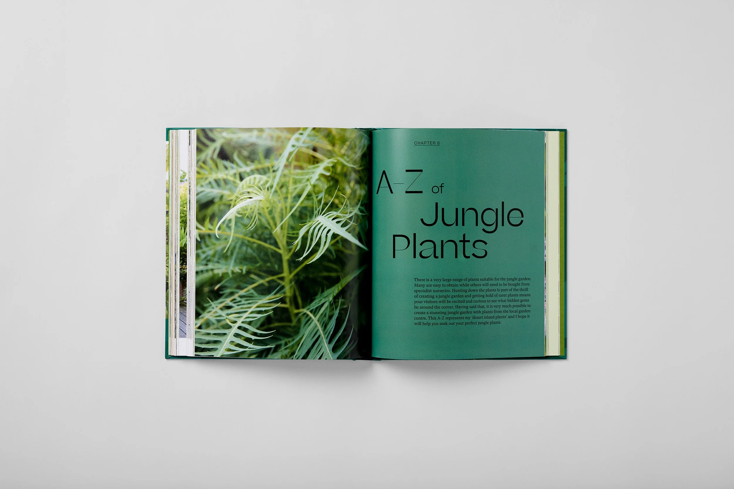 Interior spread from The Jungle Garden, photograph 5 of 6