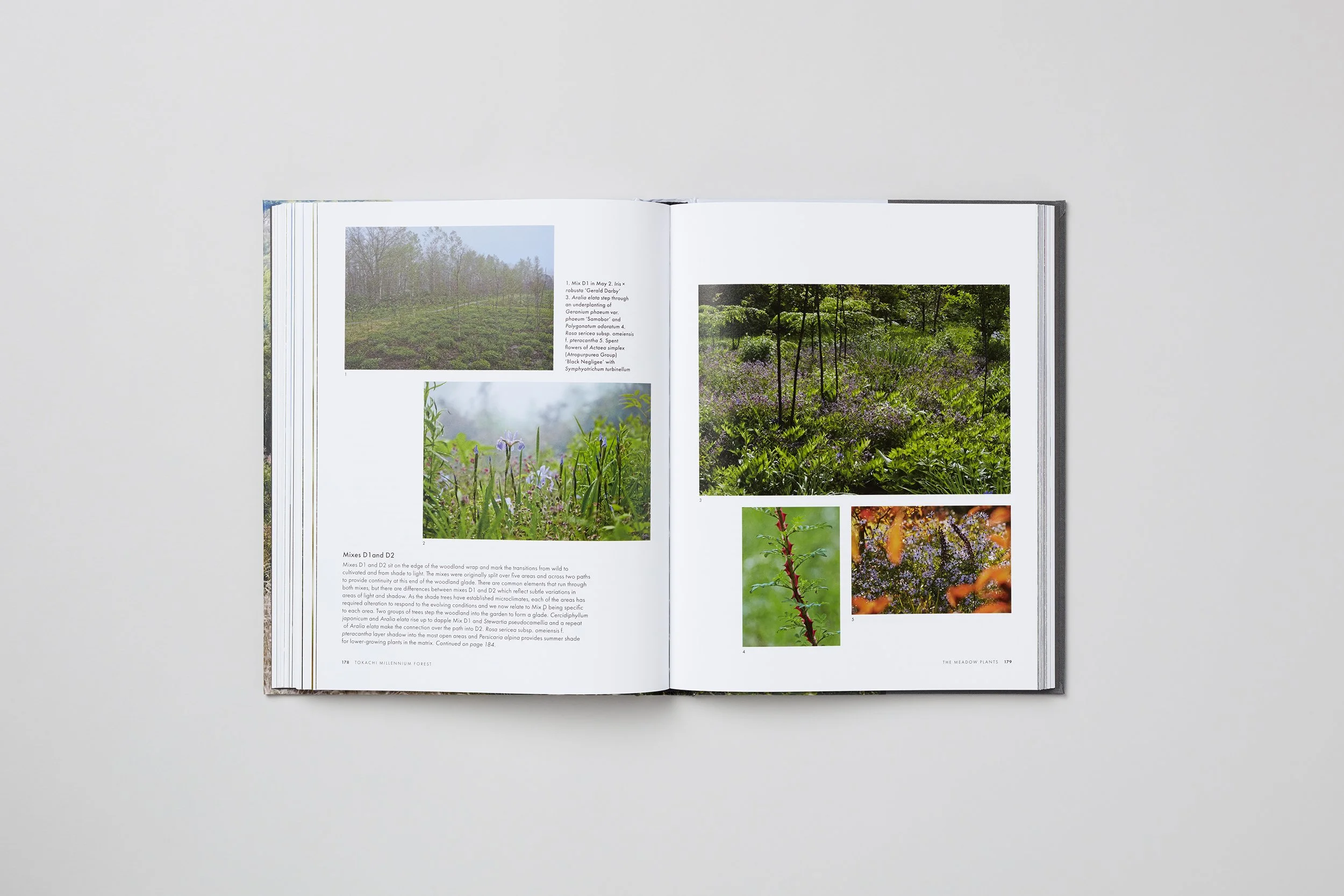 Interior spread from Tokachi Millennium Forest, photograph 2 of 7