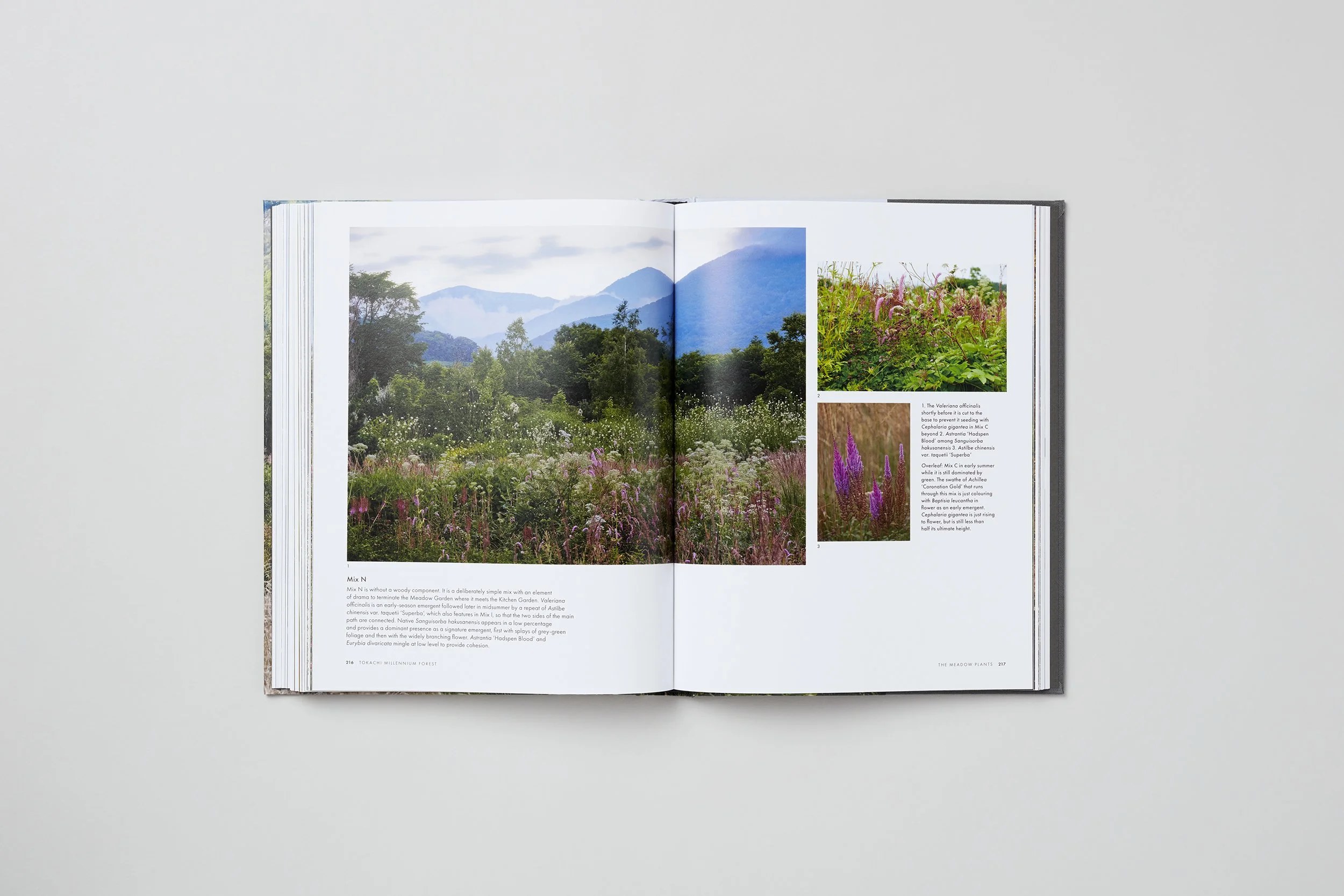 Interior spread from Tokachi Millennium Forest, photograph 3 of 7