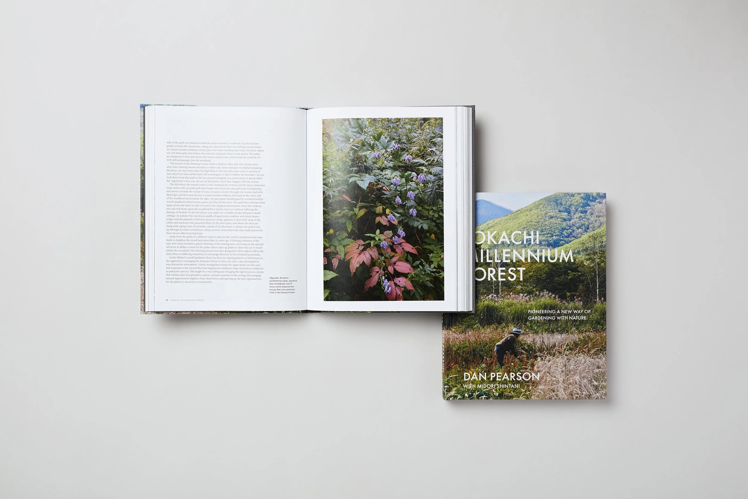 Interior spread from Tokachi Millennium Forest, photograph 6 of 7